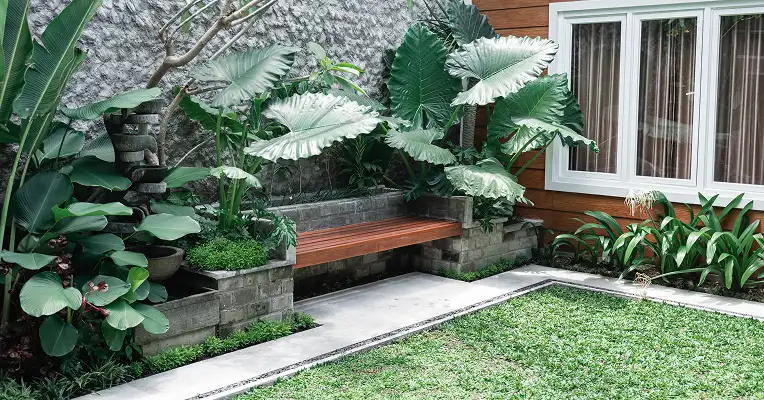 How to maintain garden at home | Floret Gardener