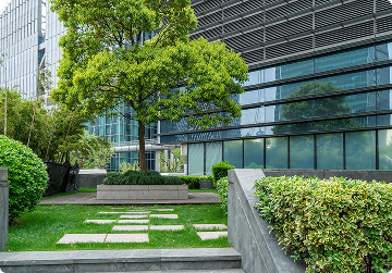 Office Landscaping Guide for Commercial Spaces in India